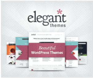 bannière de la boutiques de thèmes WordPress ELEGANT THEMES