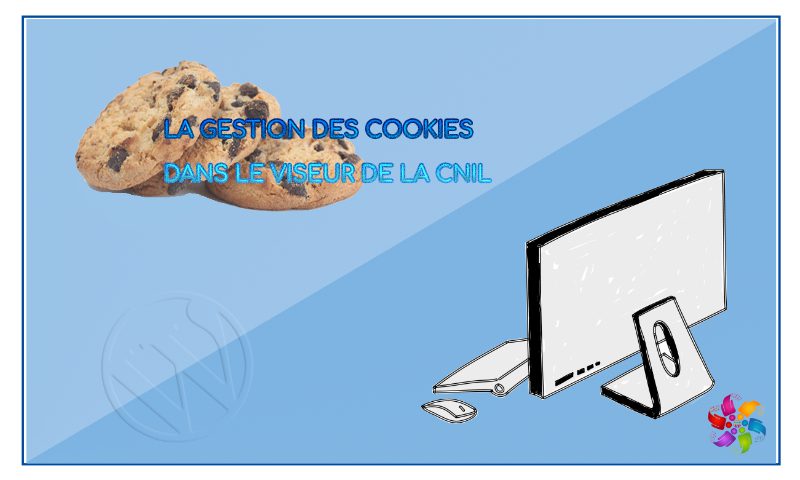 RGPD : contrôle de la gestion des cookies par la CNIL